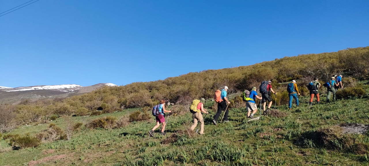 WhatsApp Image 2026-04-08 at 07.40.51 (1)